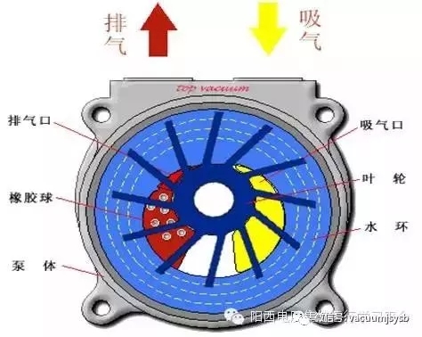 水環(huán)式真空泵完全解析（附現(xiàn)場解體照片）